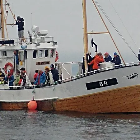 Lofoten Panorama Lodge *