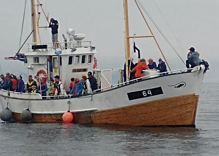 Lofoten Panorama Jaktstuga *